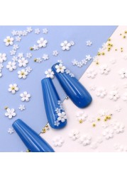 Flower Nail Art Acrylic Decoration Mixed Size White Rhinestones Silver Gem Manicure Tool Accessories For DIY Nail Design