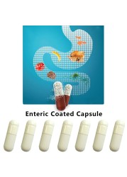 Enteric Coated Capsule 1# Enteric Empty Hard Gelatin Capsule Gel Medicine Pill Hollow Hard Gelatin Joined Capsules