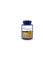 Best Male and Female Health Care Ingredients 100% Cystanche Districula 20:1 Extract