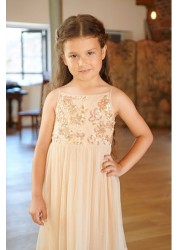 Amelia Rose Pink Sequin Bodice Dress