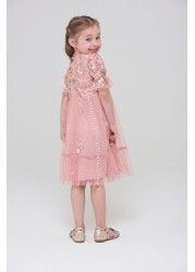 Amelia Rose Pink Embroidered Short Sleeves Dress