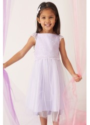 Lipsy flower girl dresses online