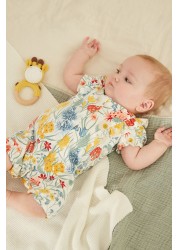 3 Pack Rompers (0mths-3yrs)