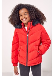 Lipsy Short Padded Coat