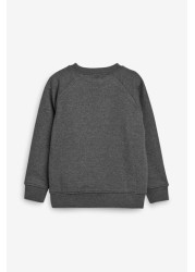 Crew Neck School Sweater (3-17yrs)