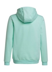 adidas Entrada22 Hoodie