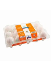 Seha Medium White Eggs - 15 Pieces