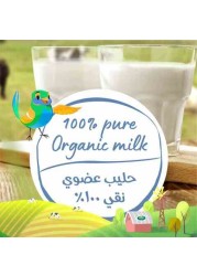 Arla Organic Milk 200 ml