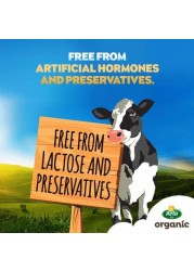 Arla Lactose Free Organic Milk 1 Liter
