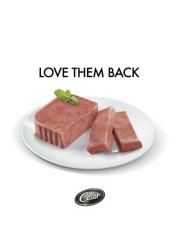 CESAR BEEF 100G