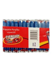 Everyday battery 24pcs AAA