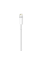 Apple Lightning to USB Charging and Sync Cable 1 Meter, Compatible with iPhone 7, 7 Plus 8, 8 Plus, X, iPad, iPod