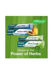 Himalaya Herbals Fresh Mint Gm Expert Toothpaste 125g