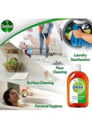 Dettol Anti-Bacterial Antiseptic Disinfectant 250ml