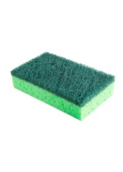 Vileda Ultra Fresh Double Anti-Bacterial Sponge