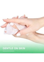 Dettol Anti-Bacterial Wipes 10 Pieces