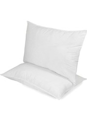 Set of 2 Anti Allergic 100% Virgin Fiber Pillow 45x68 cm