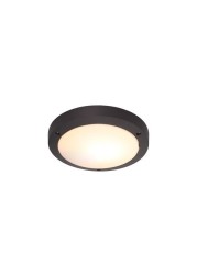 My Fanlight Daro Standard Ceiling/Wall Light, 1 x E27, Anthracite, Ip54