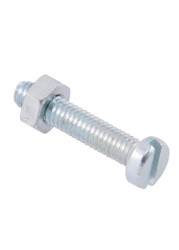 Suki M4 Pan-Head Slotted Machine Screws (20 mm, Pack of 30)