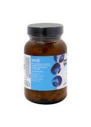 Blueberry Naturals Garlic 500 mg Enteric Coated Tablet 60&#039;s