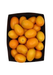 KUMQUAT ب