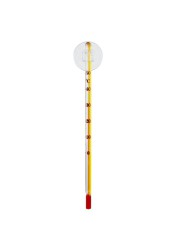 Chicos Glass Thermometer (14.5 cm)