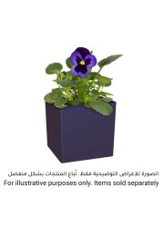 Artevasi Oslo Plant Pot (31 cm)