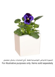 Artevasi Oslo Plant Pot (31 cm)