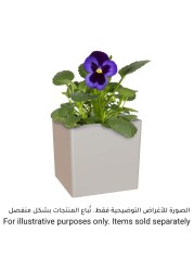 Artevasi Oslo Plant Pot (22 cm)