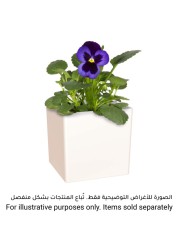 Artevasi Oslo Plant Pot (22 cm)