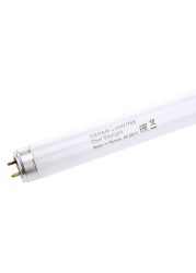 Osram Energy Saver Cool Daylight G 13 Fluorescent Lamp (36 W, Cool White)