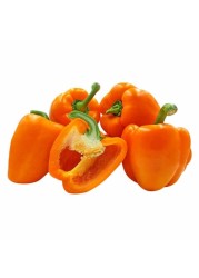 CAPSICUM ORANGE