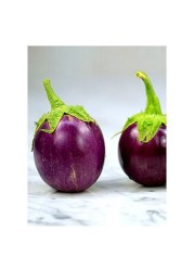 EGGPLANT PURPLE ROUND