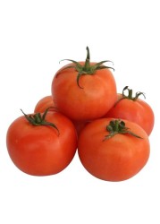 Selected round tomatoes