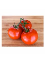 TOMATO BUNCH RED M/E