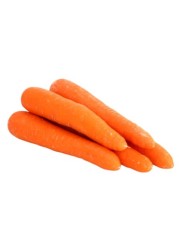 carrot