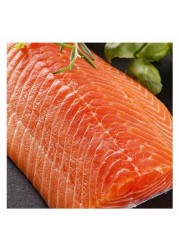 Fresh Scottish salmon fillet