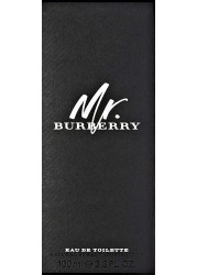 Burberry Mr. Burberry EDT, 100 ml