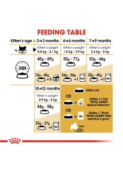 Royal Canin Feline Breed Nutrition Kitten Persian (2 kg)