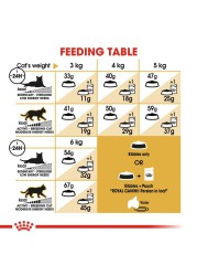 Royal Canin Feline Breed Nutrition Persian Cat Food (4 kg)