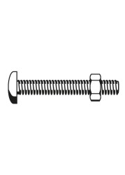 Suki Steel Roofing Bolt (M5 x 4 cm)