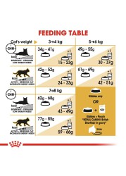 Royal Canin Feline Breed Nutrition British Shorthair Cat Food (4 kg)