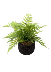 Artificial Potted Fern Plant (45 cm)