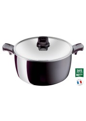 Tefal G6 Resist Intense Steel Stew Pot W/Lid (24 cm)