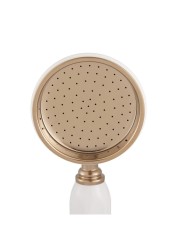 Cooke & Lewis Brass Single-Spray Pattern Shower Head (223 x 71 x 100 mm)