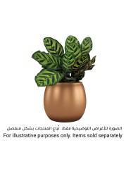 Artevasi Hera Ceramic Plant Pot (22 cm)