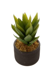 Artificial Potted Agave Plant (30 cm)