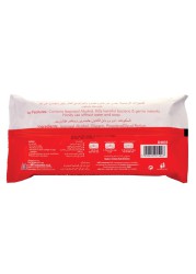 Cool & Cool Disinfectant Anti Bacterial Wipes (40 Wipes)