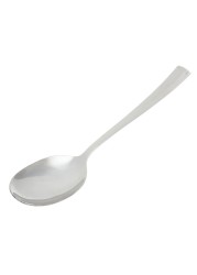 FNS Windsor Serving Spoon