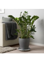 PERSILLADE Plant pot